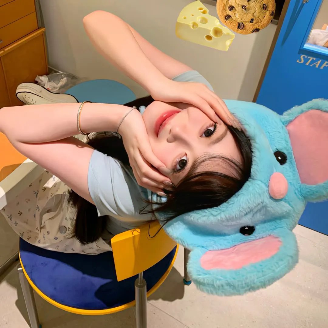 动画综艺
