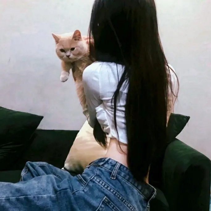 手视